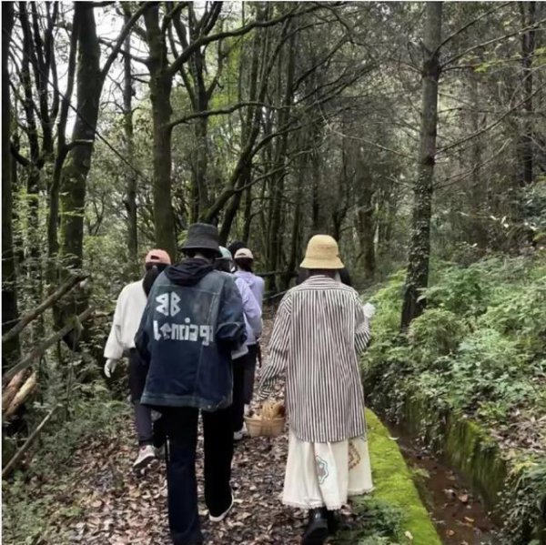 张若昀唐艺昕云南偶遇，失业装饰展当然生计，温馨日常令东说念主柔和